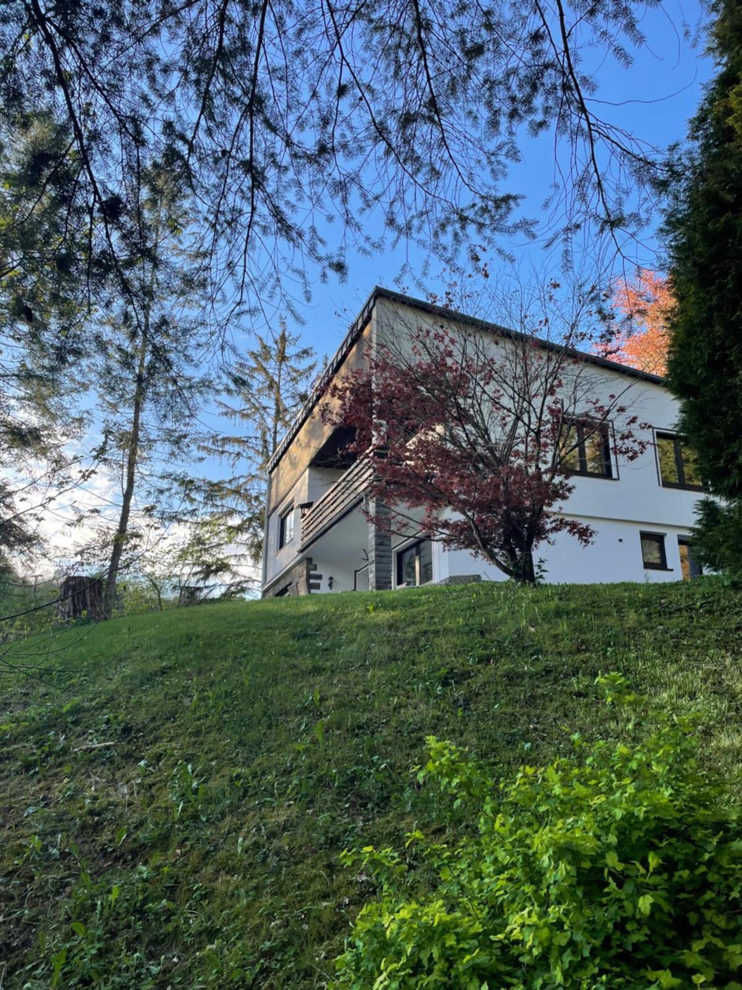 Talblick Chalet Blankenheim Blankenheim  Zewnętrze zdjęcie
